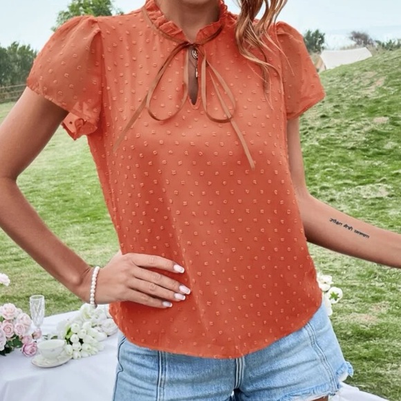 Boho redwood Swiss dot tie neck puff sleeve blouse - Picture 4 of 15